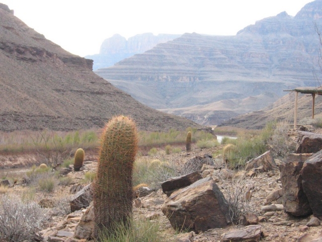 worldtrip-14k-usa-grandcanyon_24