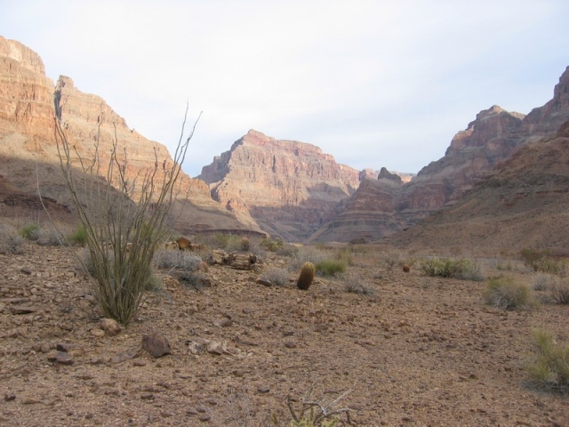 worldtrip-14k-usa-grandcanyon_28