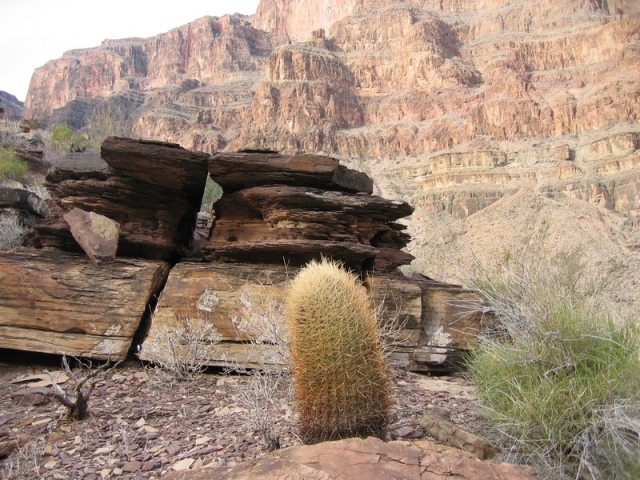 worldtrip-14k-usa-grandcanyon_32
