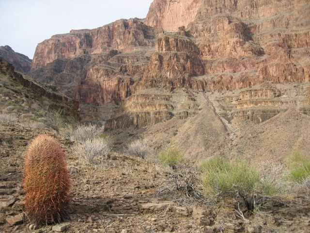 worldtrip-14k-usa-grandcanyon_33