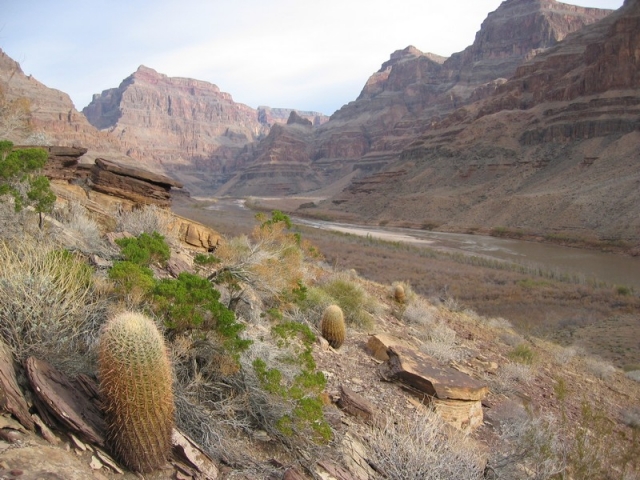 worldtrip-14k-usa-grandcanyon_36