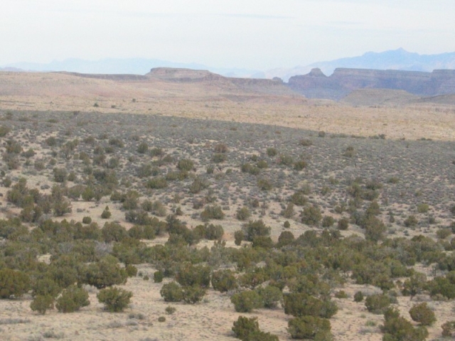 worldtrip-14k-usa-grandcanyon_47