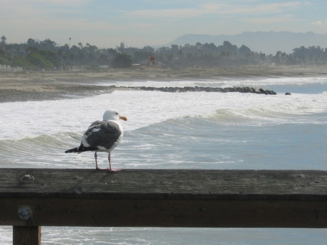 worldtrip-14l-usa-california-ventura_14