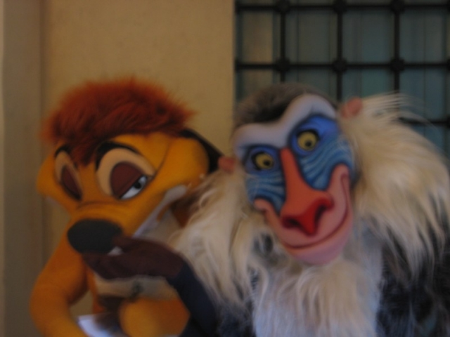 worldtrip-14p-usa-florida-themepark-disneyworld_4