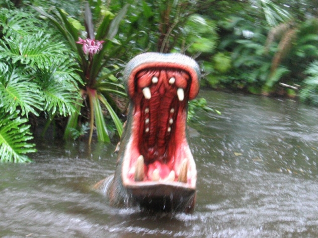 worldtrip-14p-usa-florida-themepark-disneyworld_8