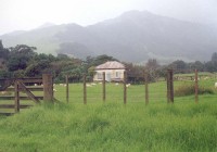 New Zealand - my home for five years